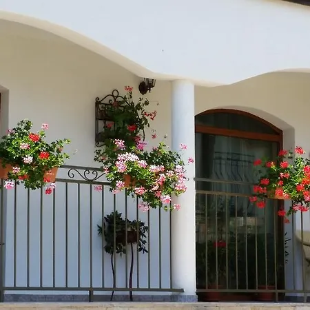 Guest house Petra Medovo